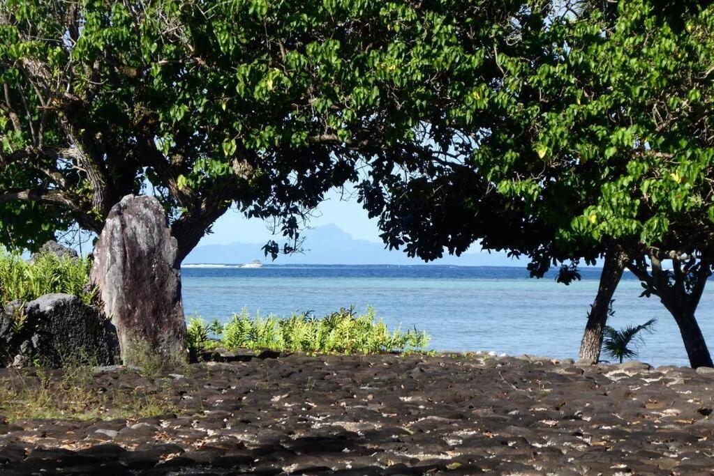 Raiatea, Opoa, Studio Du Fare Reve, Acces Mer Privatif Luaran gambar