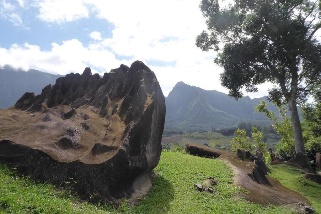 Raiatea, Opoa, Studio Du Fare Reve, Acces Mer Privatif Luaran gambar
