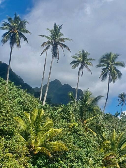 Raiatea, Opoa, Studio Du Fare Reve, Acces Mer Privatif Luaran gambar
