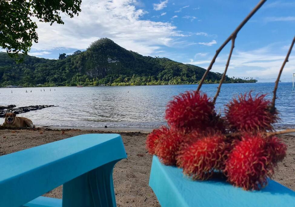 Raiatea, Opoa, Studio Du Fare Reve, Acces Mer Privatif Luaran gambar